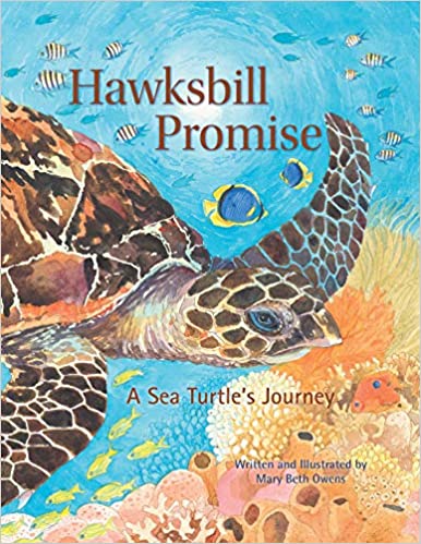 hawksbill-promise