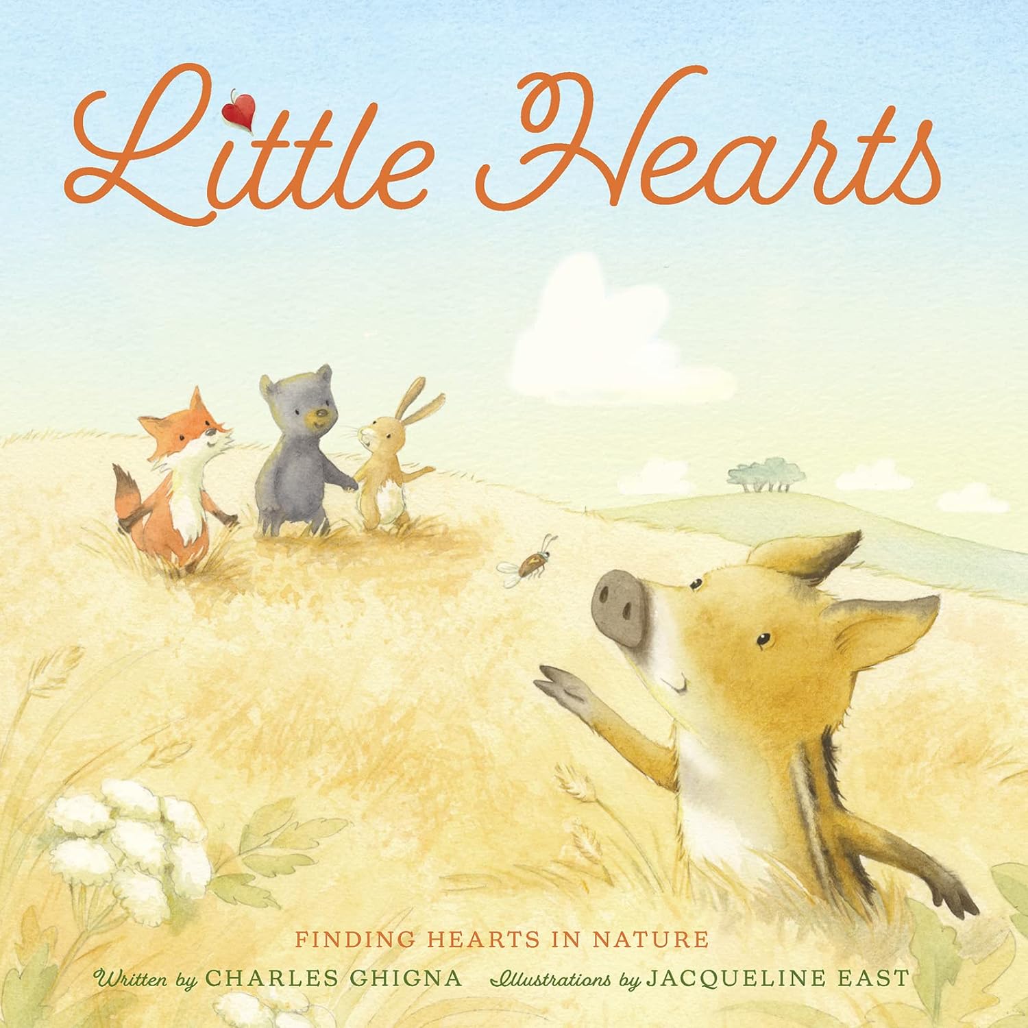 Little Hearts : finding Hearts in Nature by Charles Ghigna illustrated by Jacqueline East