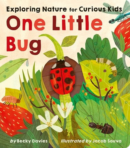 One Little Bug cover image