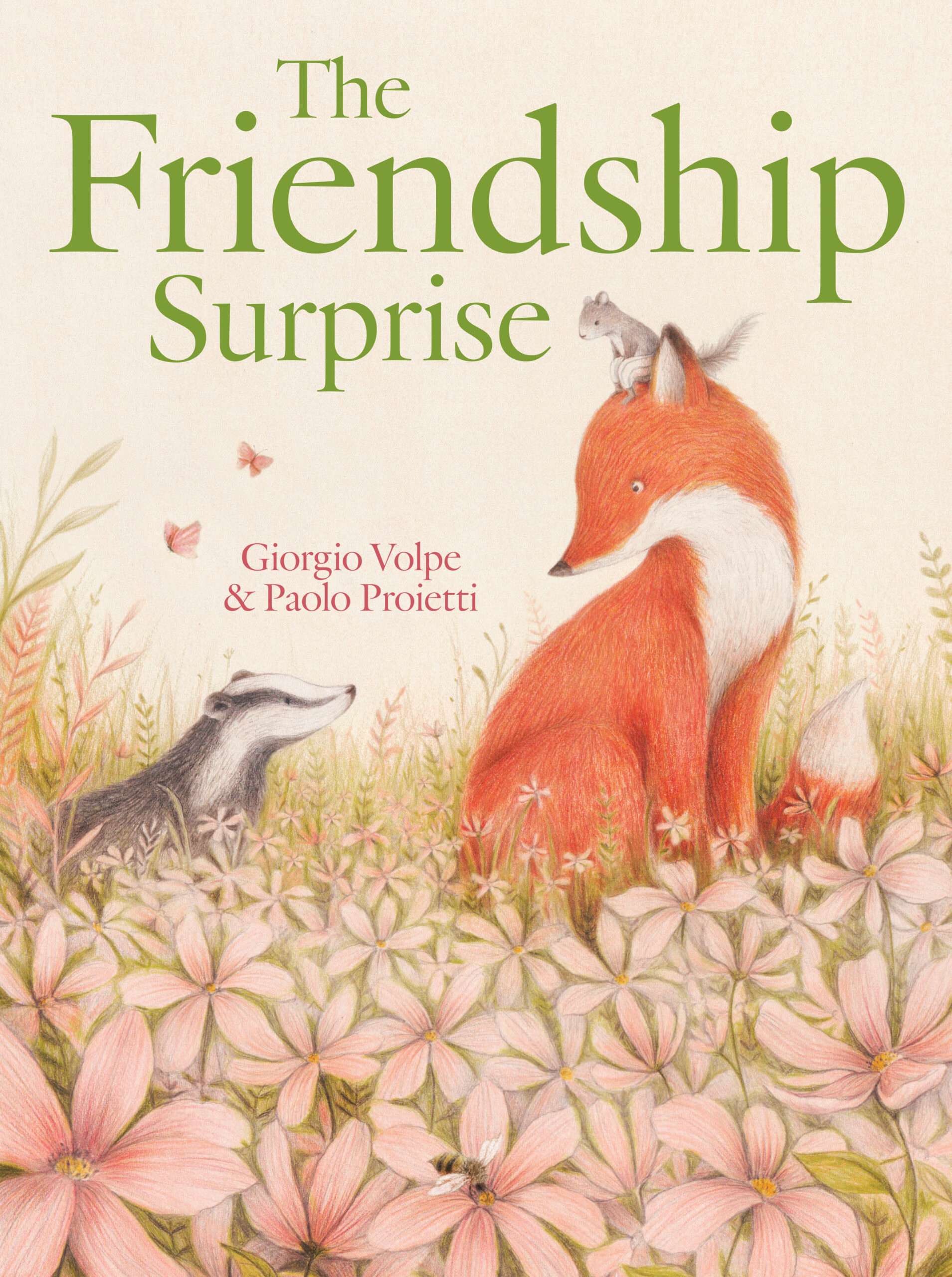 The Friendship Surprise cover image
