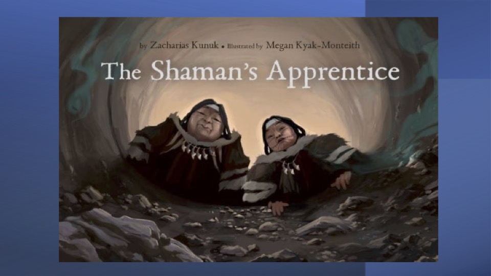 shaman's apprentice cover